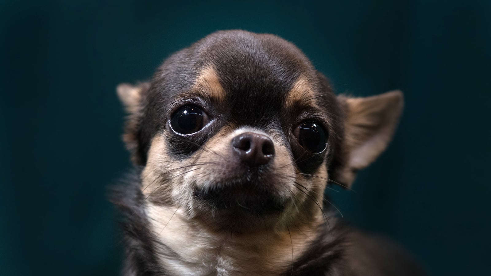 GettyImages-651959136_ojbujc