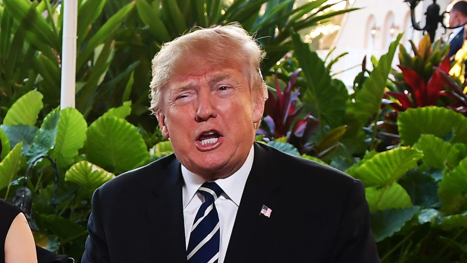 210219-trum-mar-a-lago-tease_mokw8n