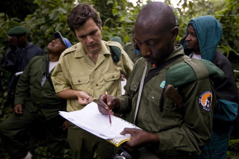 galleries/2014/11/06/a-belgian-prince-gorillas-guerrillas-the-future-of-virunga-photos/141105-congo-prince1_kvwg9z