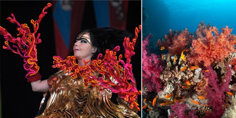 galleries/2013/10/30/from-miley-cyrus-to-katy-perry-stars-who-look-like-they-re-dressed-for-halloween-photos/halloween-bjork-coral_cka3me