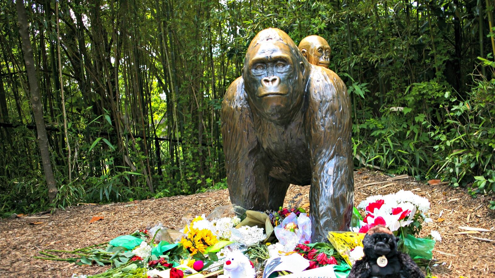 cheats/2016/05/31/cops-mull-charges-in-gorilla-zoo-death/160531-harambe-charges-possible-cheat_ppvegf