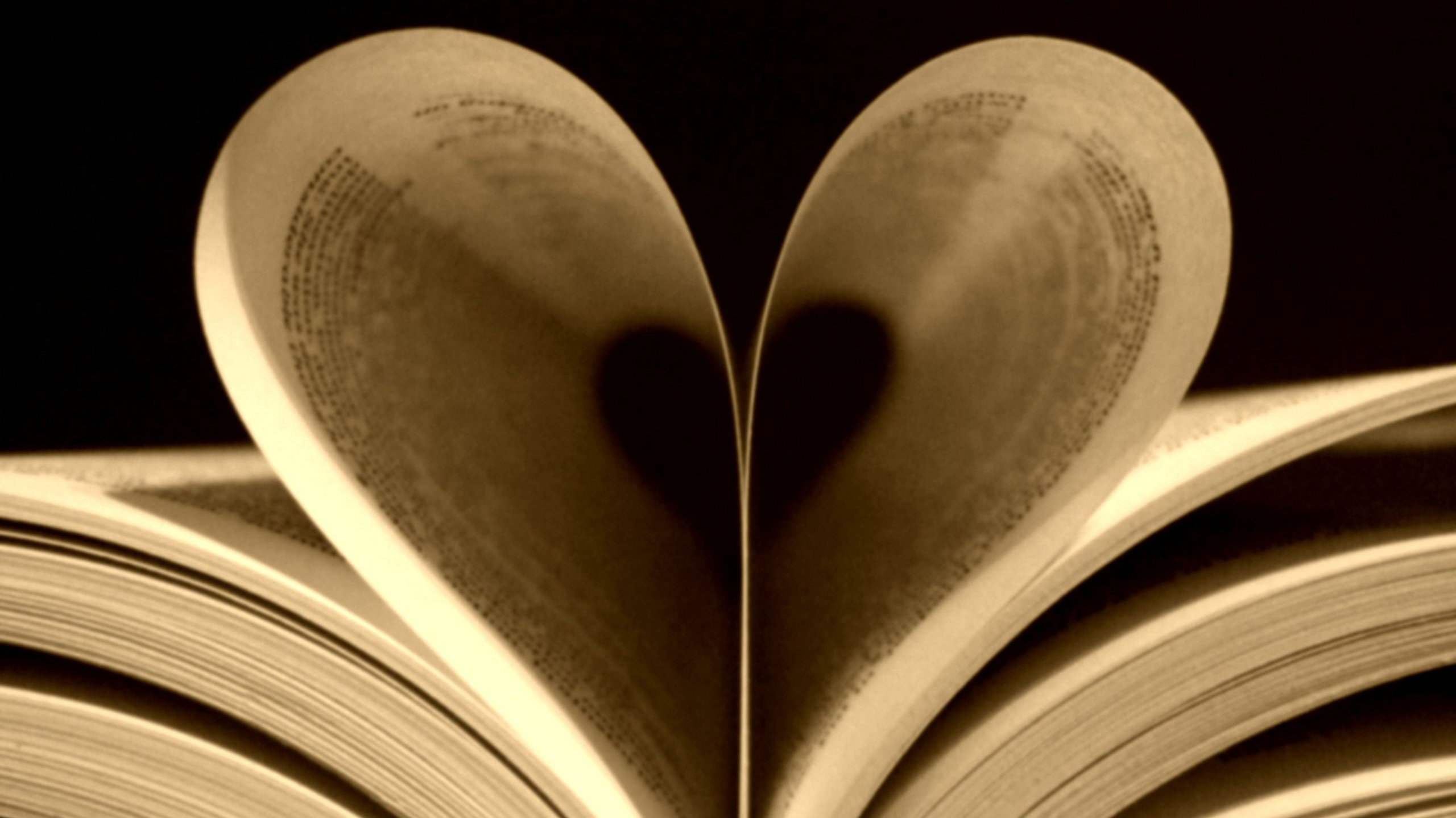 articles/2014/02/13/what-should-be-your-favorite-books/140213-favorite-books-lytal-tease_ae2s36