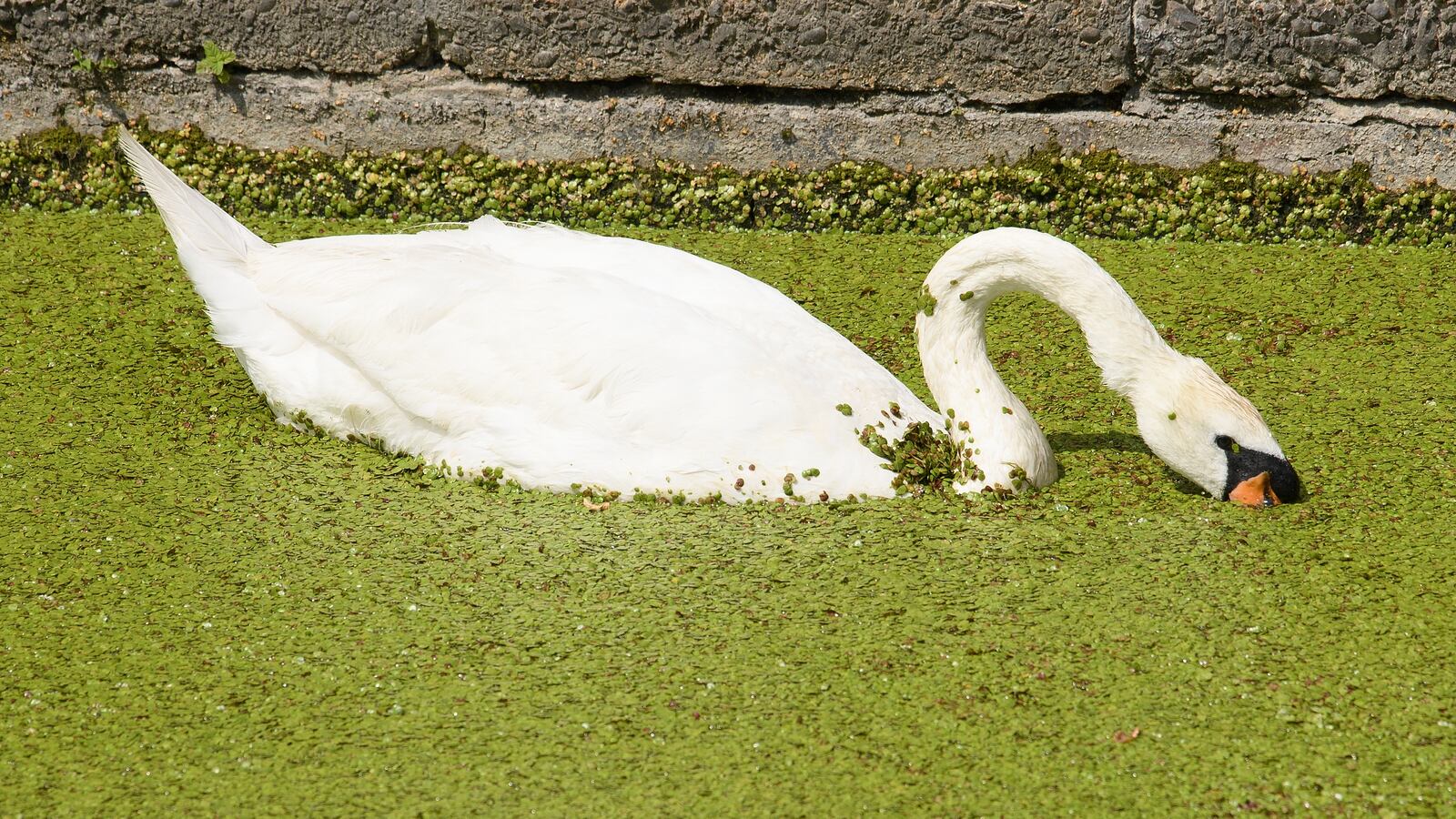 GettyImages-1004595116_xc466y