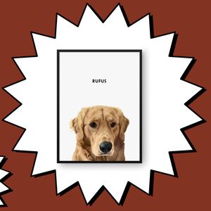 Best Gifts for Pets and Pet Parents | Scouted