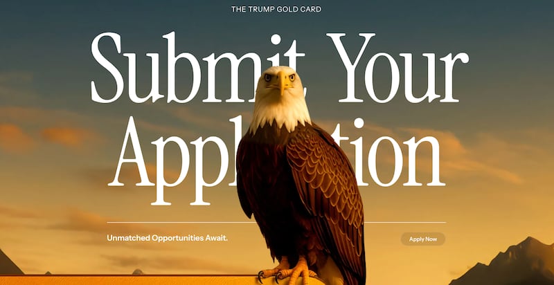 Submit your application