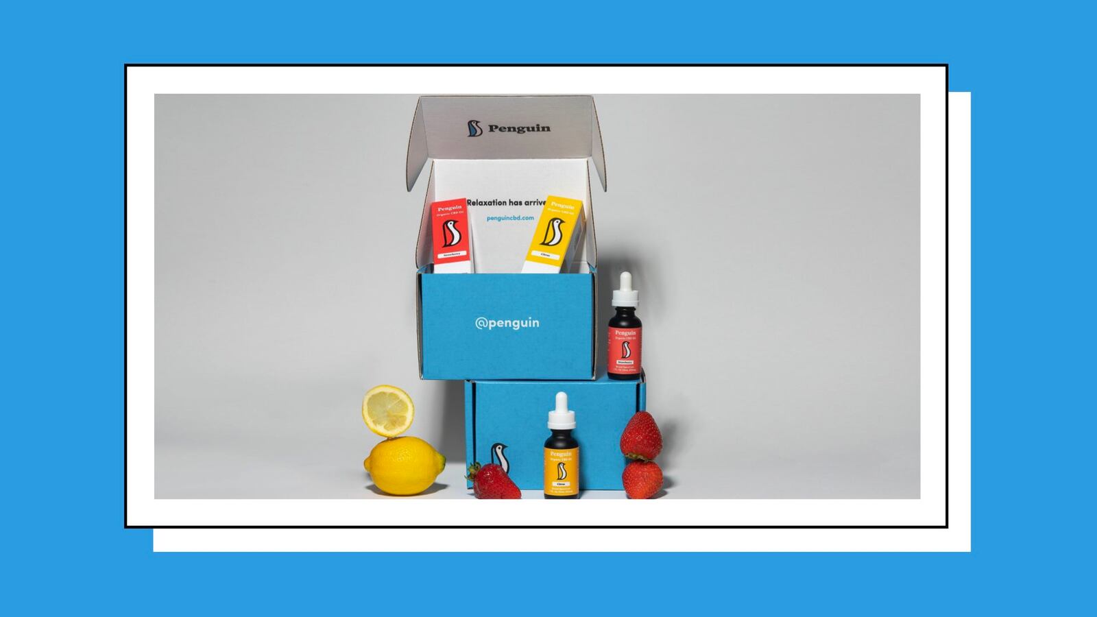 TDB_Penguin_CBD_Hero.002_tef0mh