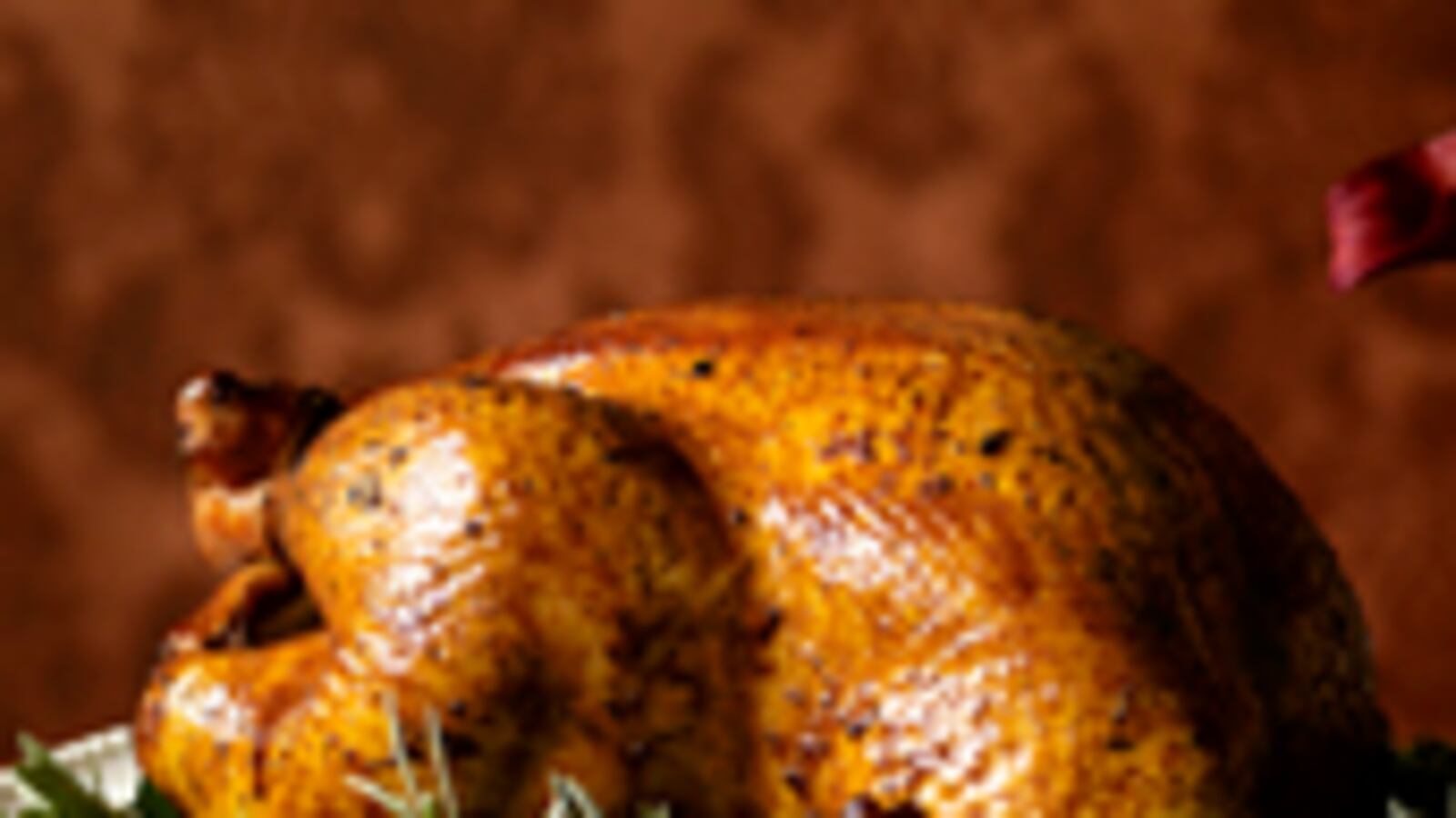articles/2009/11/23/a-list-chef-thanksgiving/tdb-thanksgiving-turkey_64987_lbfhwo
