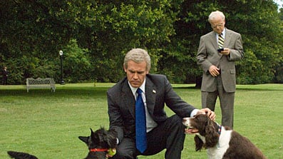 cheats/2008/10/23/bush-cinematic-hero/bush-onscreen_psaphi