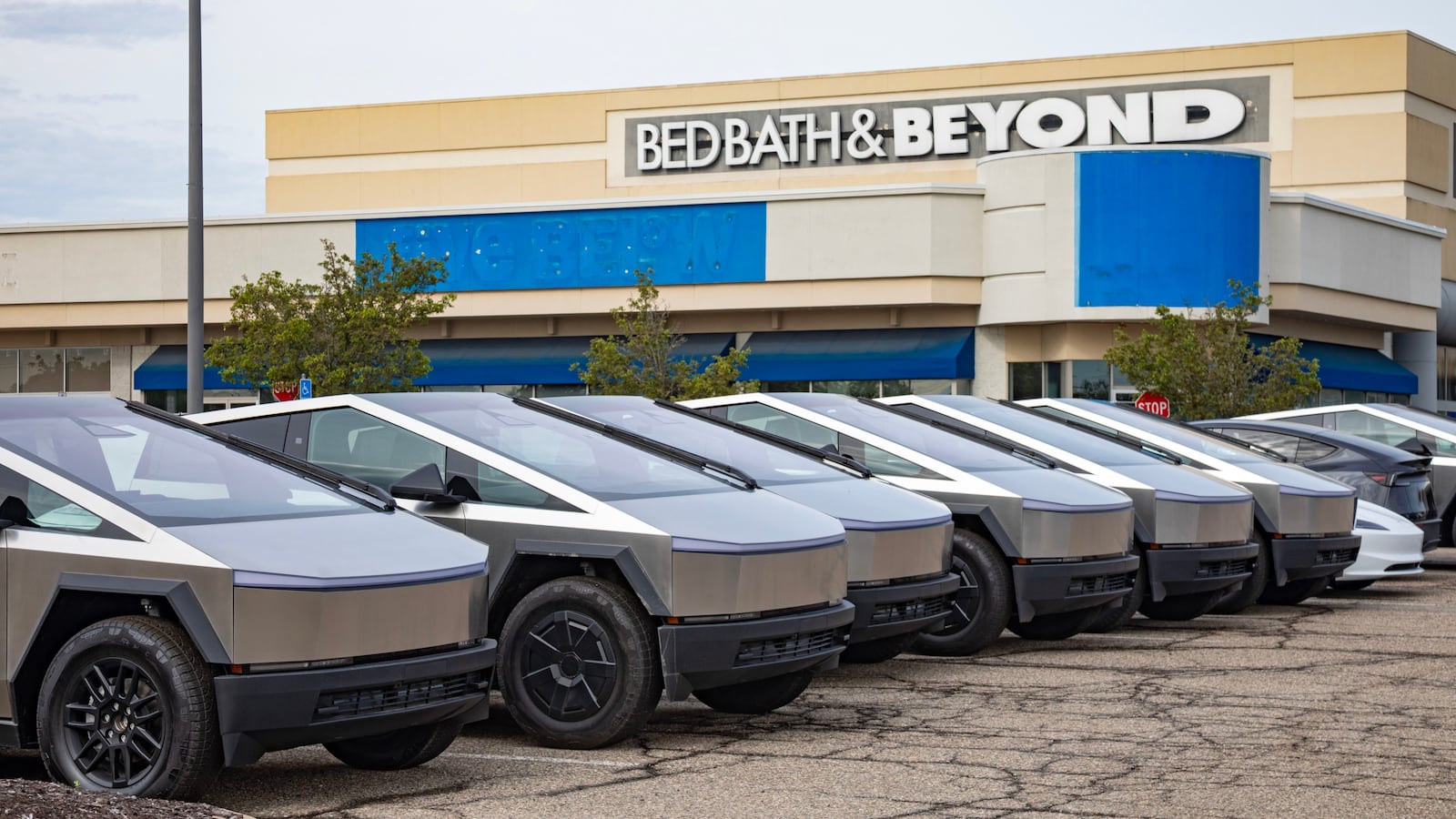 Cybertrucks in Farmington Hills