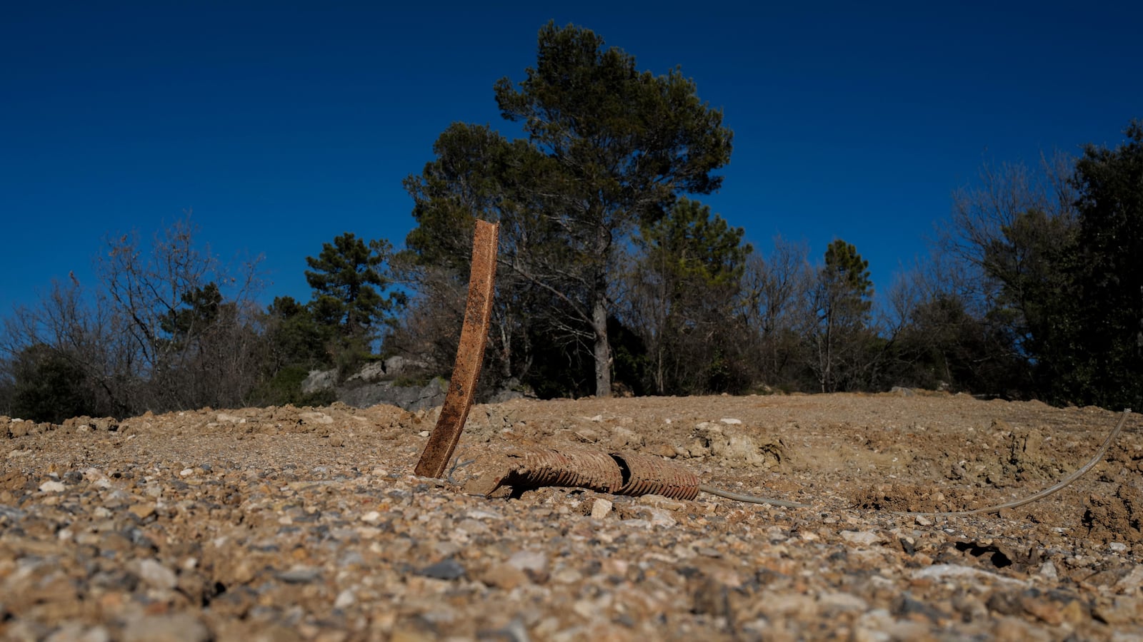 GettyImages-1238912855_foxz7d