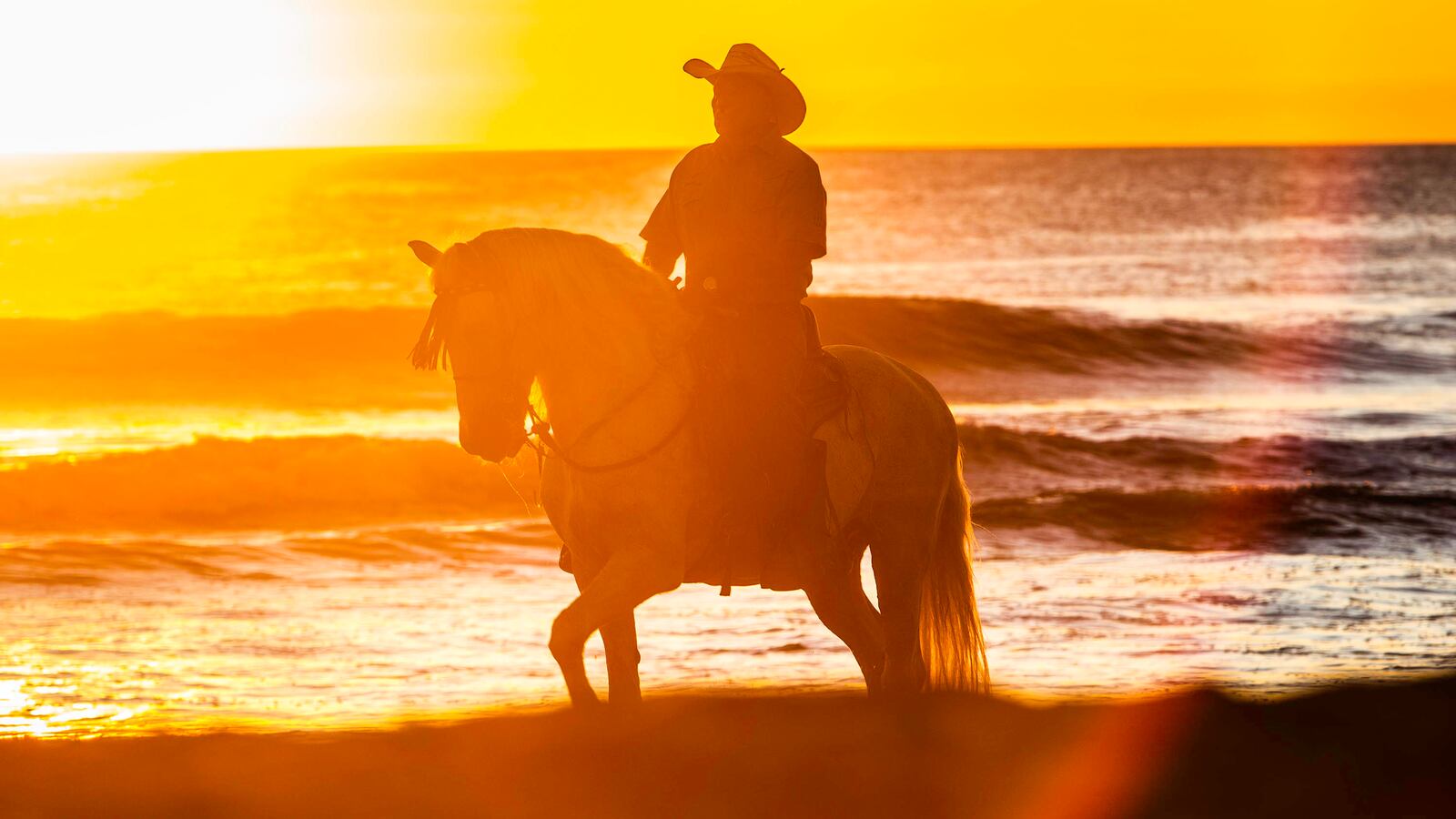 191218-rogers-rancho-tease_bqrre3