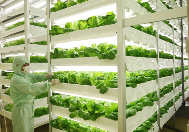 galleries/2009/11/04/hot-jobs/hot-jo5_nudjiy