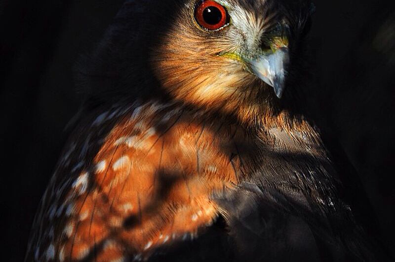 galleries/2015/04/25/instagrammer-of-the-week-keith-ladzinski/150424-instagrammer-ladzinski-03_klhud7