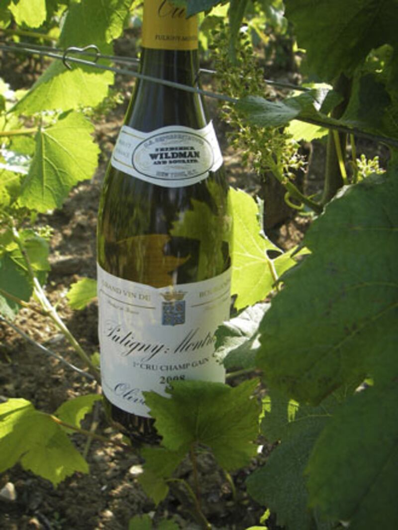 galleries/2010/06/25/summer-food-burgundy/summer-food-series-2---11_rhfhtc
