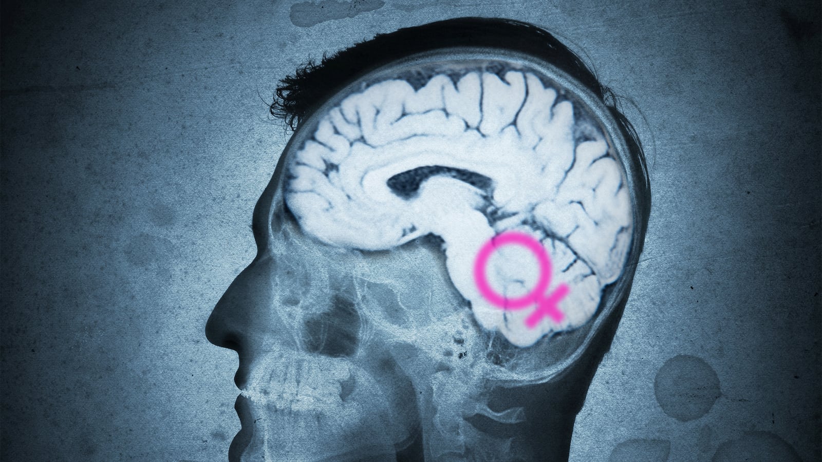 articles/2015/10/29/is-sexism-all-in-your-brain/151028-crocker-brain-sexism-tease_rgpryo