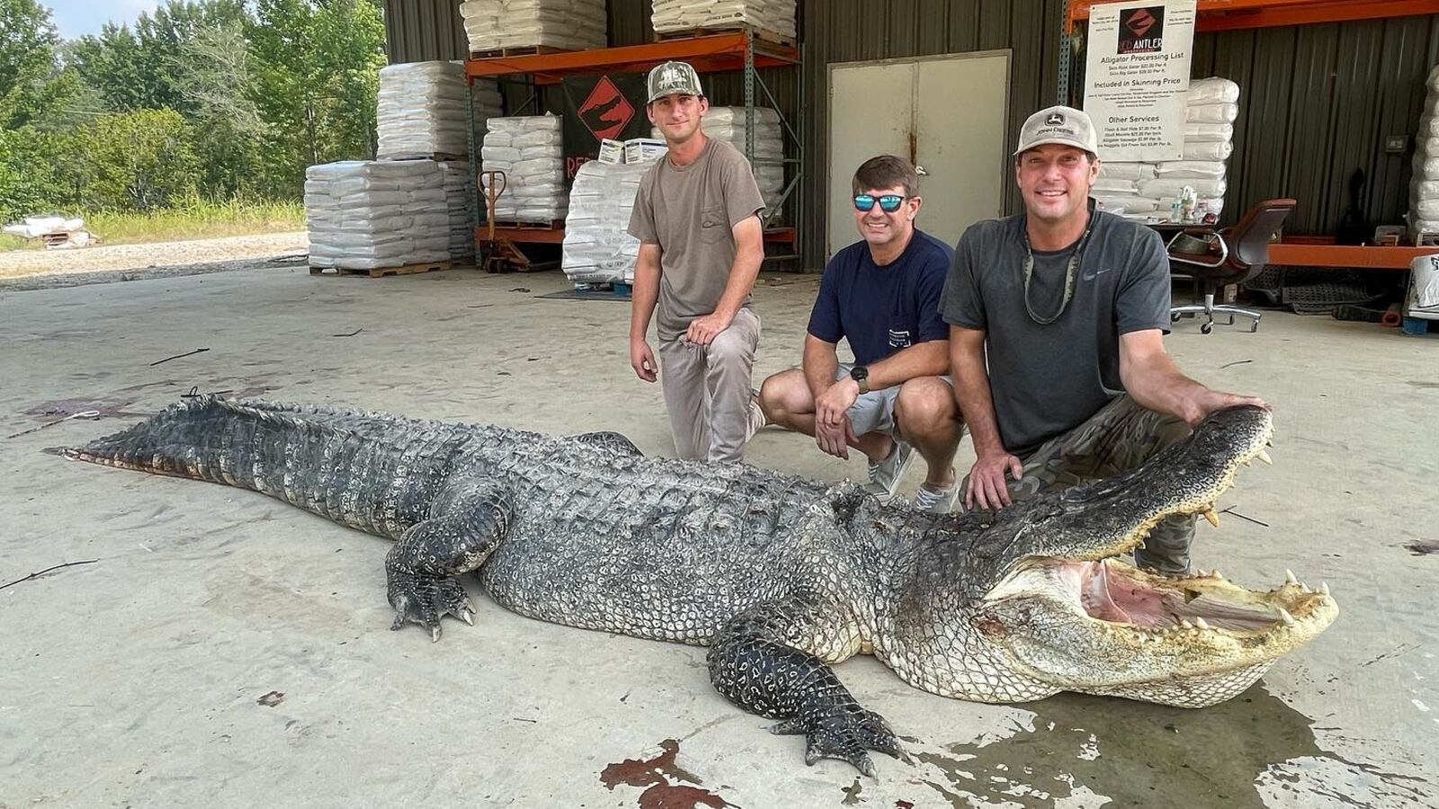 Four hunters killed the largest alligator in Mississippi history Saturday.