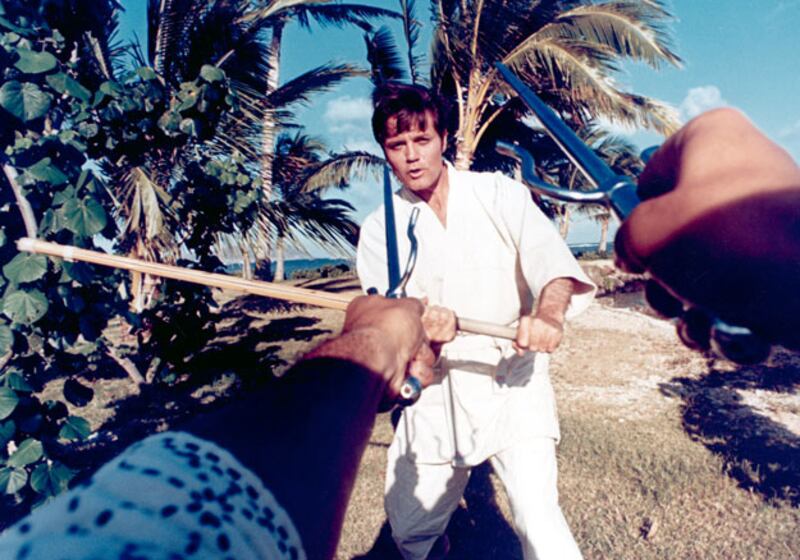 galleries/2009/08/20/hawaii-at-5-0/hawaii-50---hawaii-5-0_ws1uv8