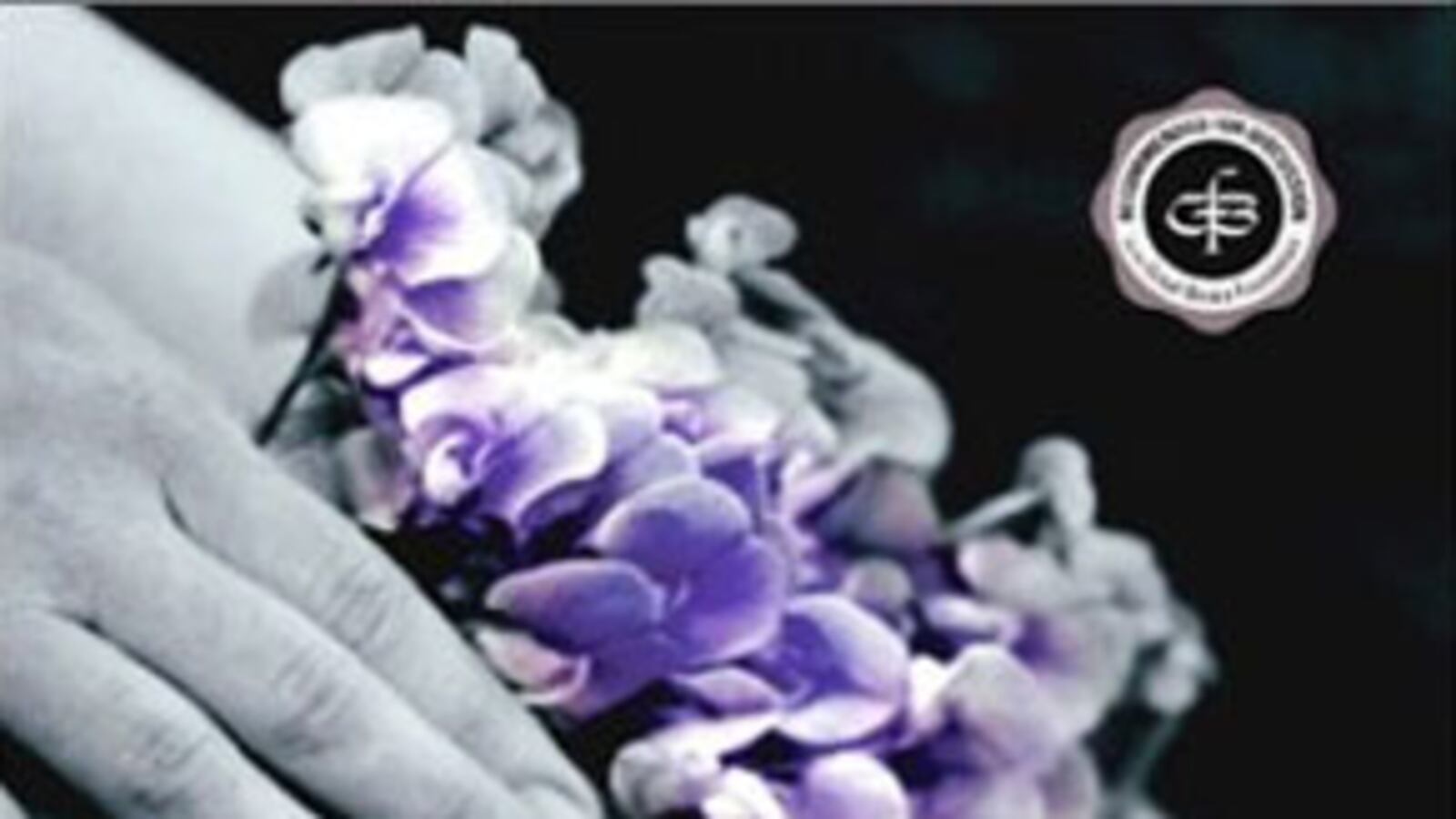 galleries/2010/01/12/elizabeth-kostova-s-favorite-books/elizabeth-kostova-book-bag---anna-karenina_sjo6i0