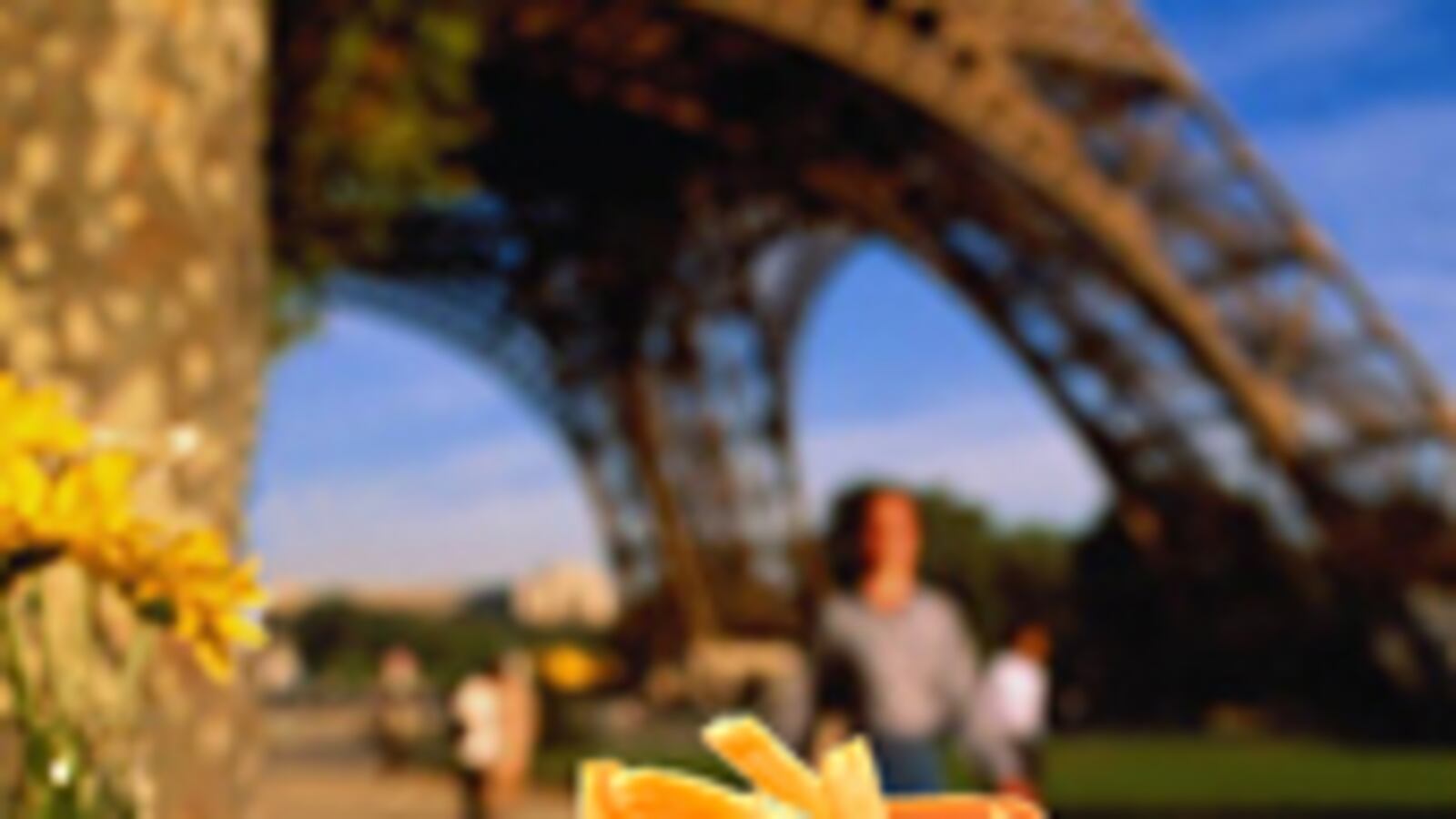 articles/2009/07/07/how-america-killed-french-cuisine/willcox-french-fast-food_36419_nh4eqy