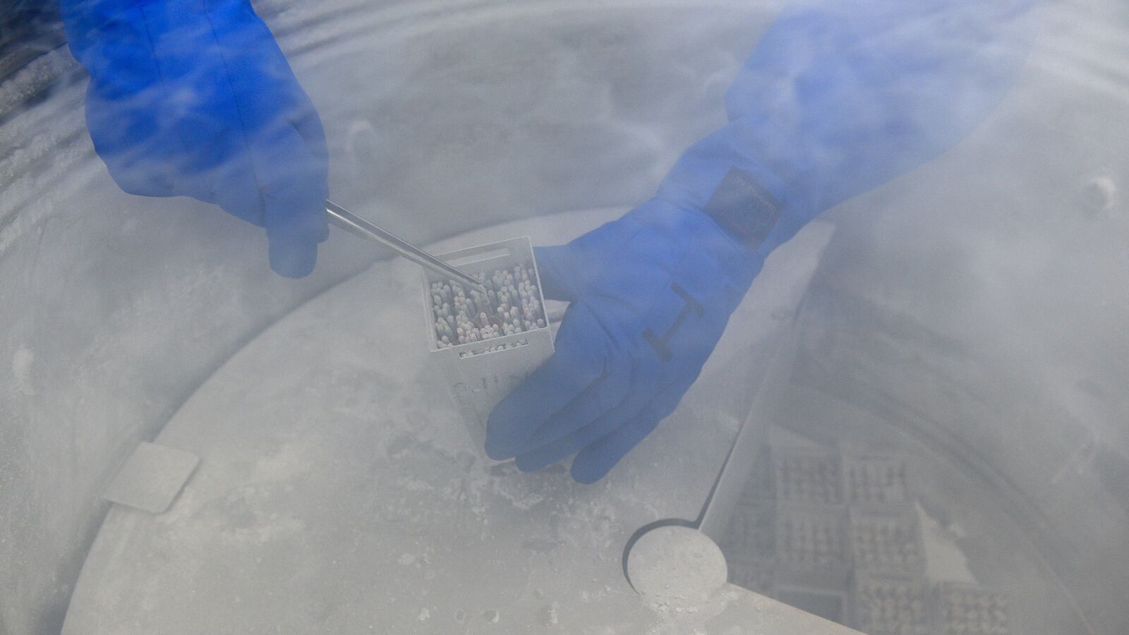 GettyImages-540259568_lgtsfg