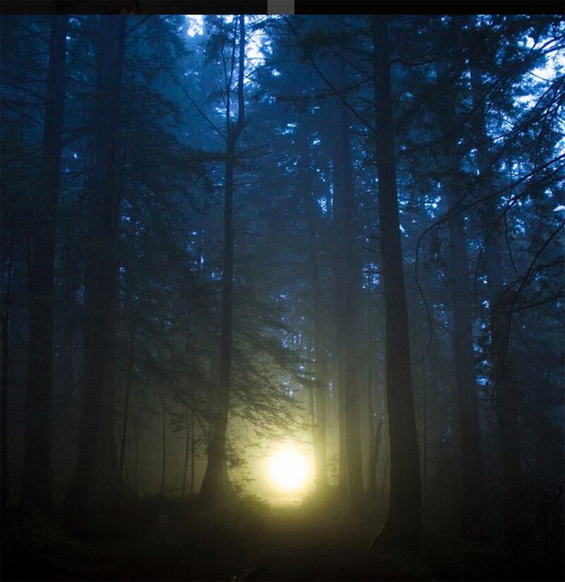 galleries/2015/08/09/instagrammer-of-the-week-forest-woodward/150807-instagrammer-13_ofyxh1