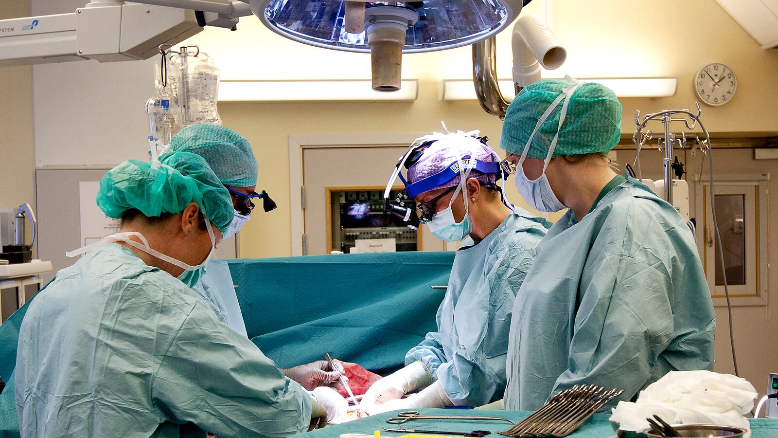 cheats/2014/01/13/first-womb-transplants-a-success/140113-womb-transplant-cheat_sf609f