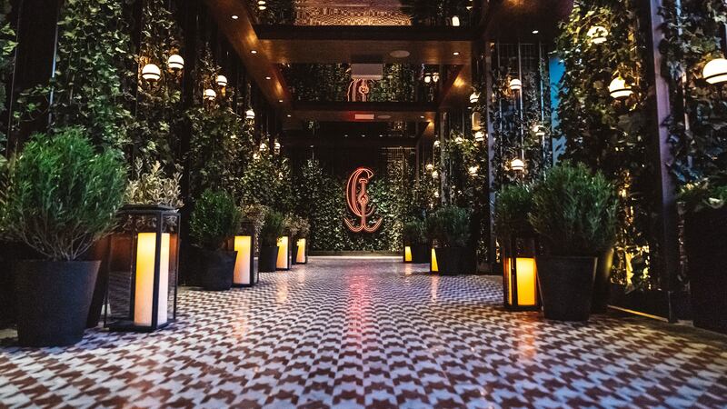 190923-Rothbaum-Catch-embed-2_najmbd