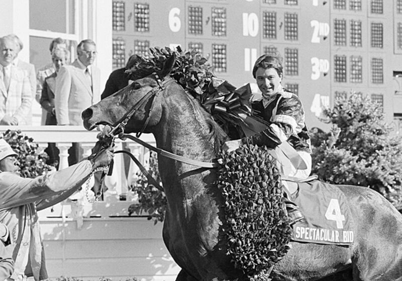 galleries/2011/05/05/top-racehorses/top-racehorses---spectacular-bid_nnkie4