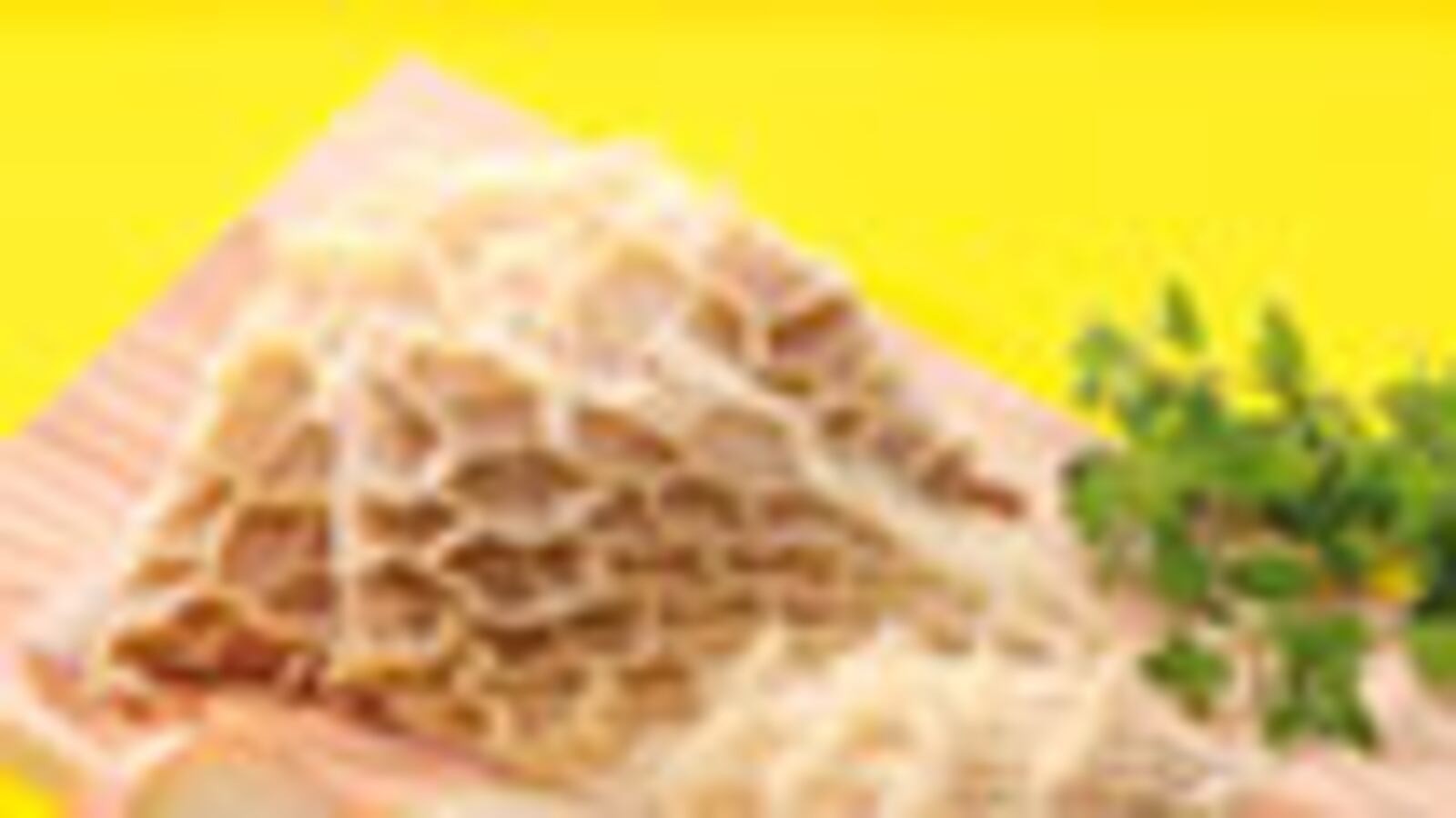 articles/2010/01/26/what-to-eat-offal/what-to-eat---tripe-and-onions_vynsnk