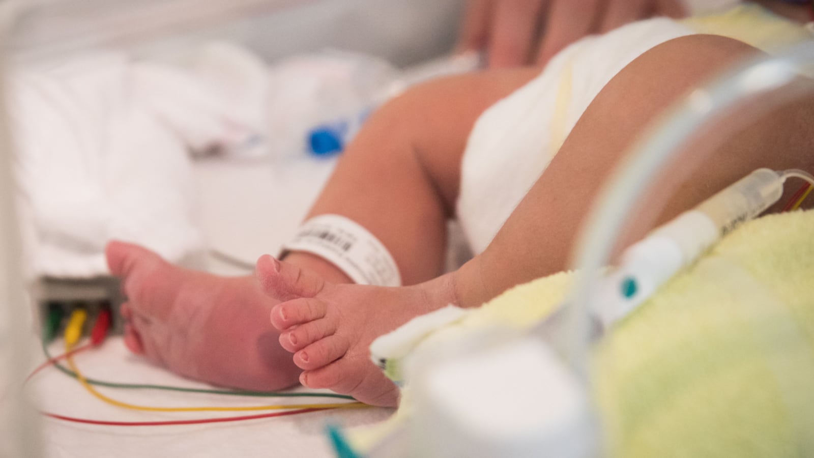 190120-triples-ivf-miracle-cheat_bw5boh