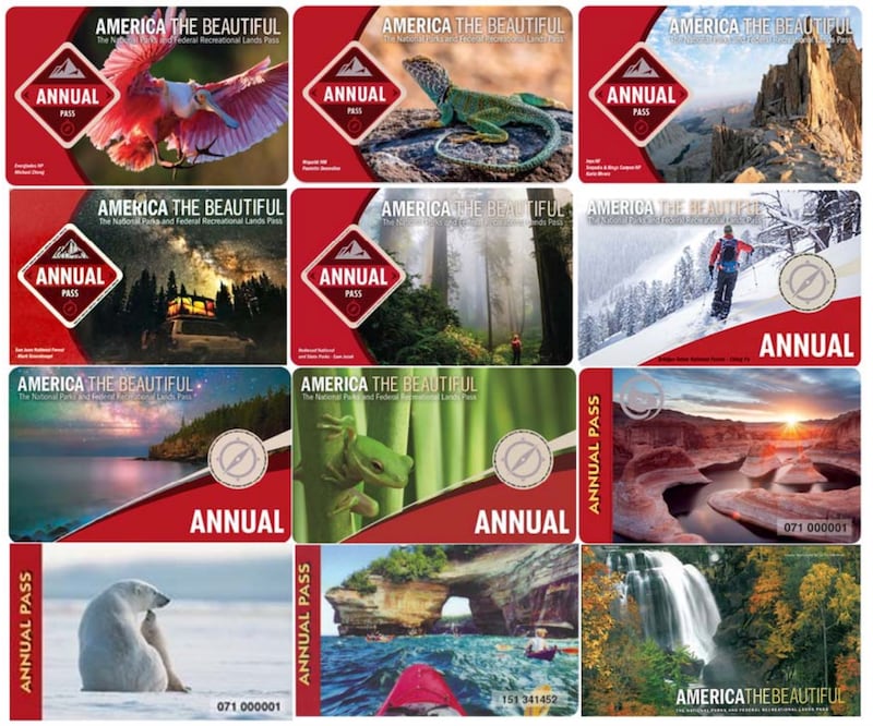 The 12 prior National Park passes featuring parks and wildlife.