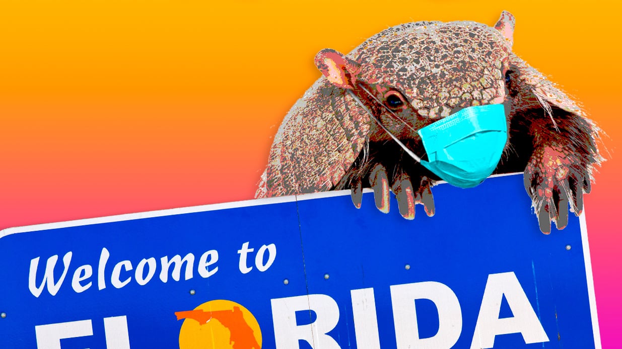 articles/2015/07/22/spitting-armadillos-spread-leprosy-in-florida/150721-lytton-florida-tease_gmdqxx