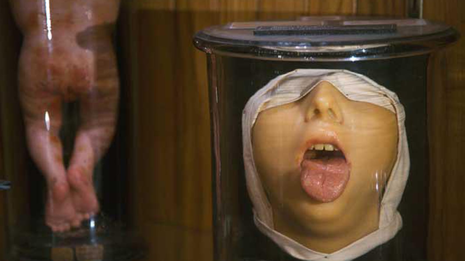 articles/2014/07/10/brooklyn-s-museum-of-death-inside-morbid-anatomy-s-house-of-intriguing-horrors/140709-strochlic-morbid-tease_idp6dj