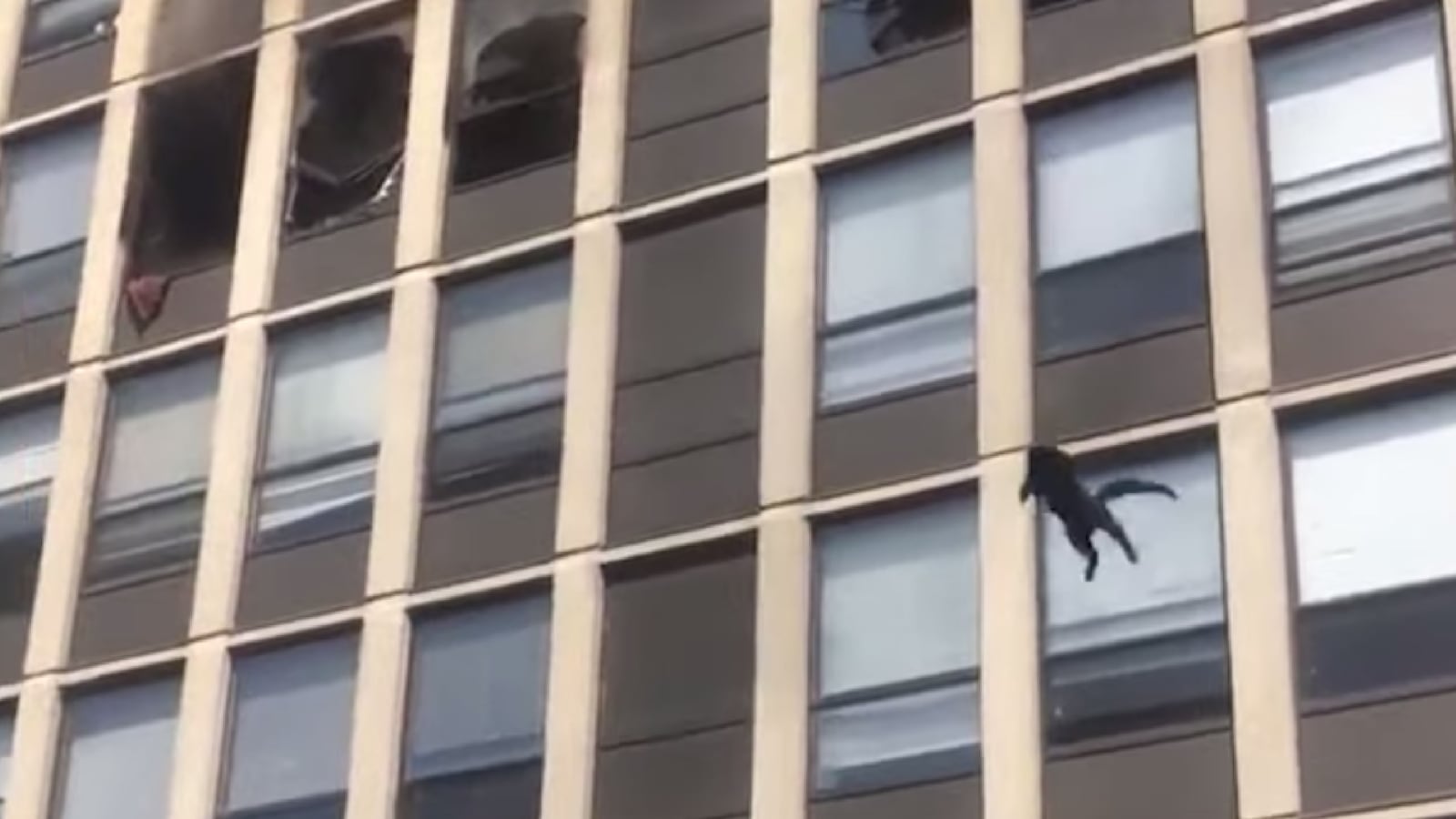 Screen_Shot_2021-05-13_at_10.34.47_PM_1_oqblek