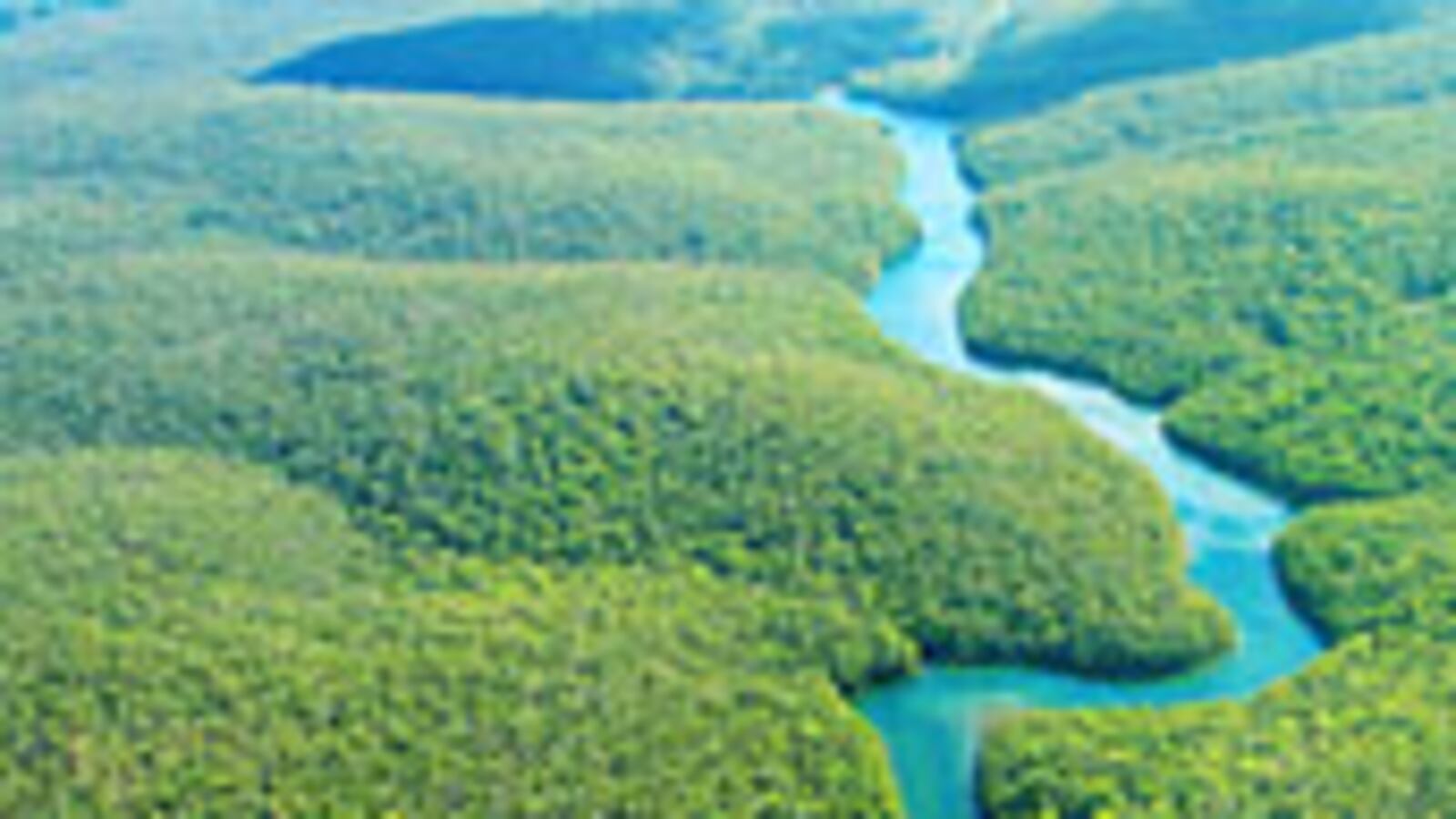 articles/2009/02/24/raiders-of-the-lost-city/curtis-lost-city_15573_jiplz6