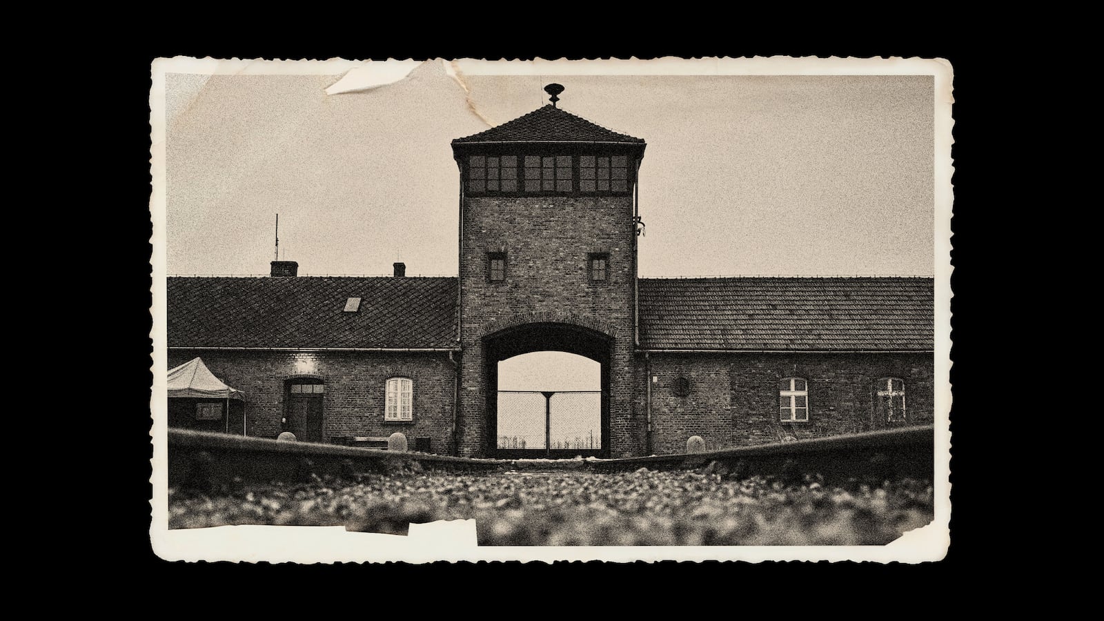 Auschwitz concentration camp.