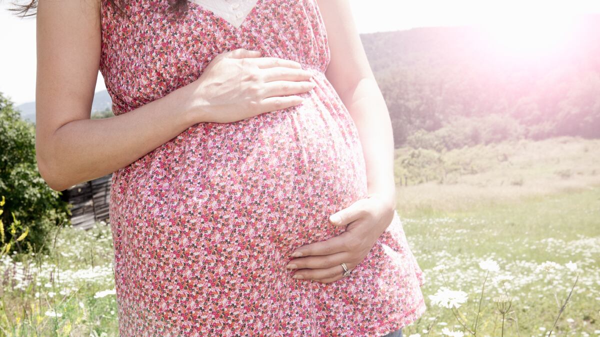 articles/2011/11/18/can-pregnant-moms-mold-their-babies-with-ssris-microwaves-cellphones/pregnancy-risks-rufus_hpqvfk