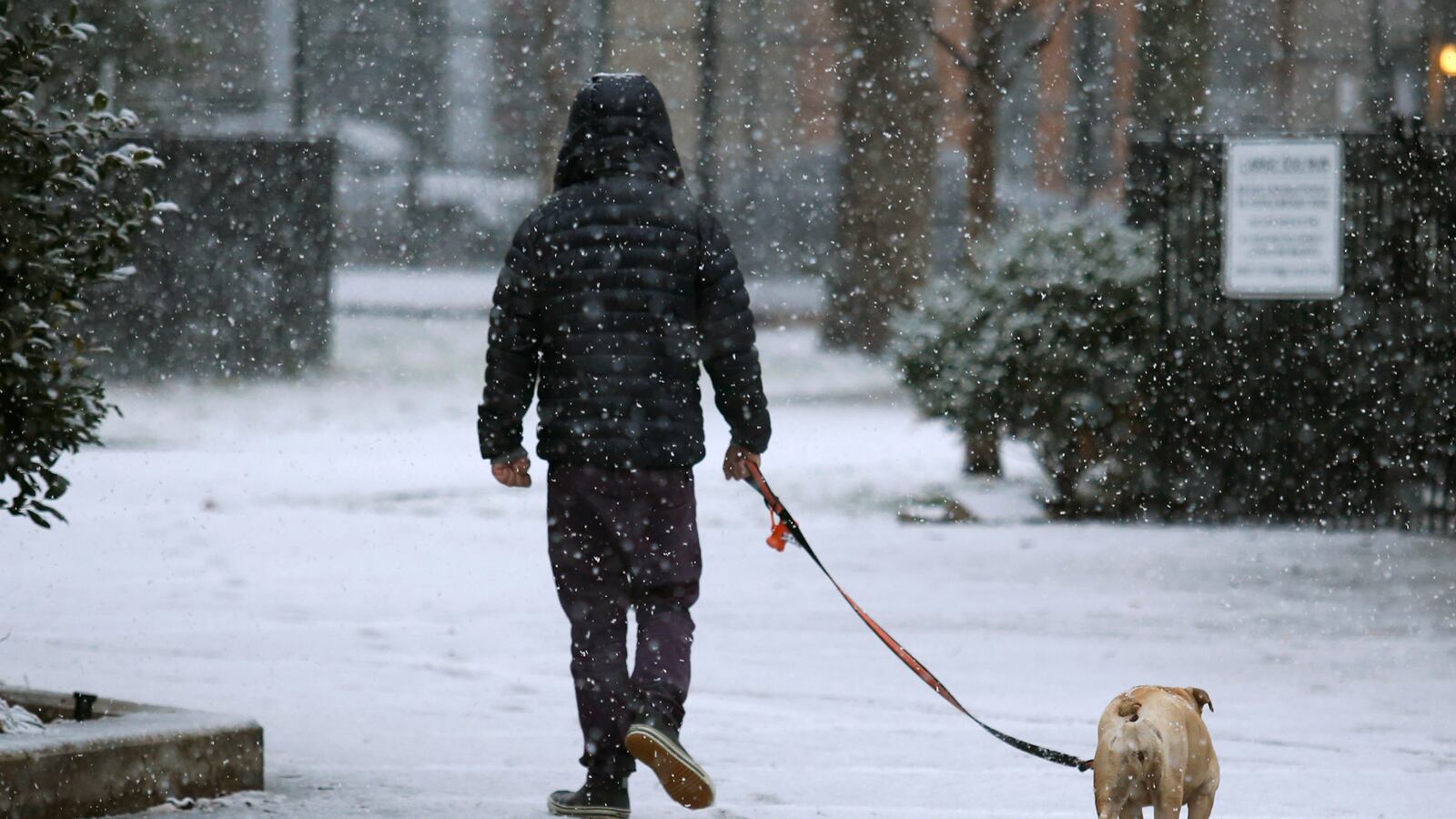 cheats/2013/12/10/snow-slams-northeast/131210-northeast-snow-cheat_faik6r