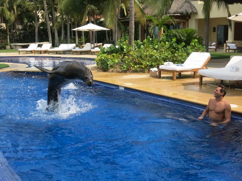 galleries/2013/06/23/miley-cyrus-shakira-and-more-celebrity-twitter-pictures-photos/joefrancis_zndai2