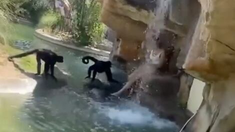 Screen_Shot_2021-05-25_at_9.09.55_AM_tucelq