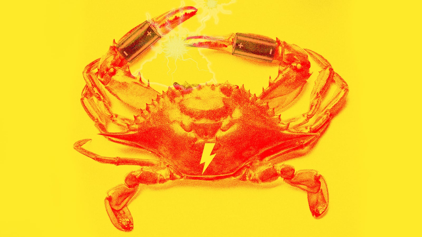 220829-Bender-Batteries-tease_fgtgbl