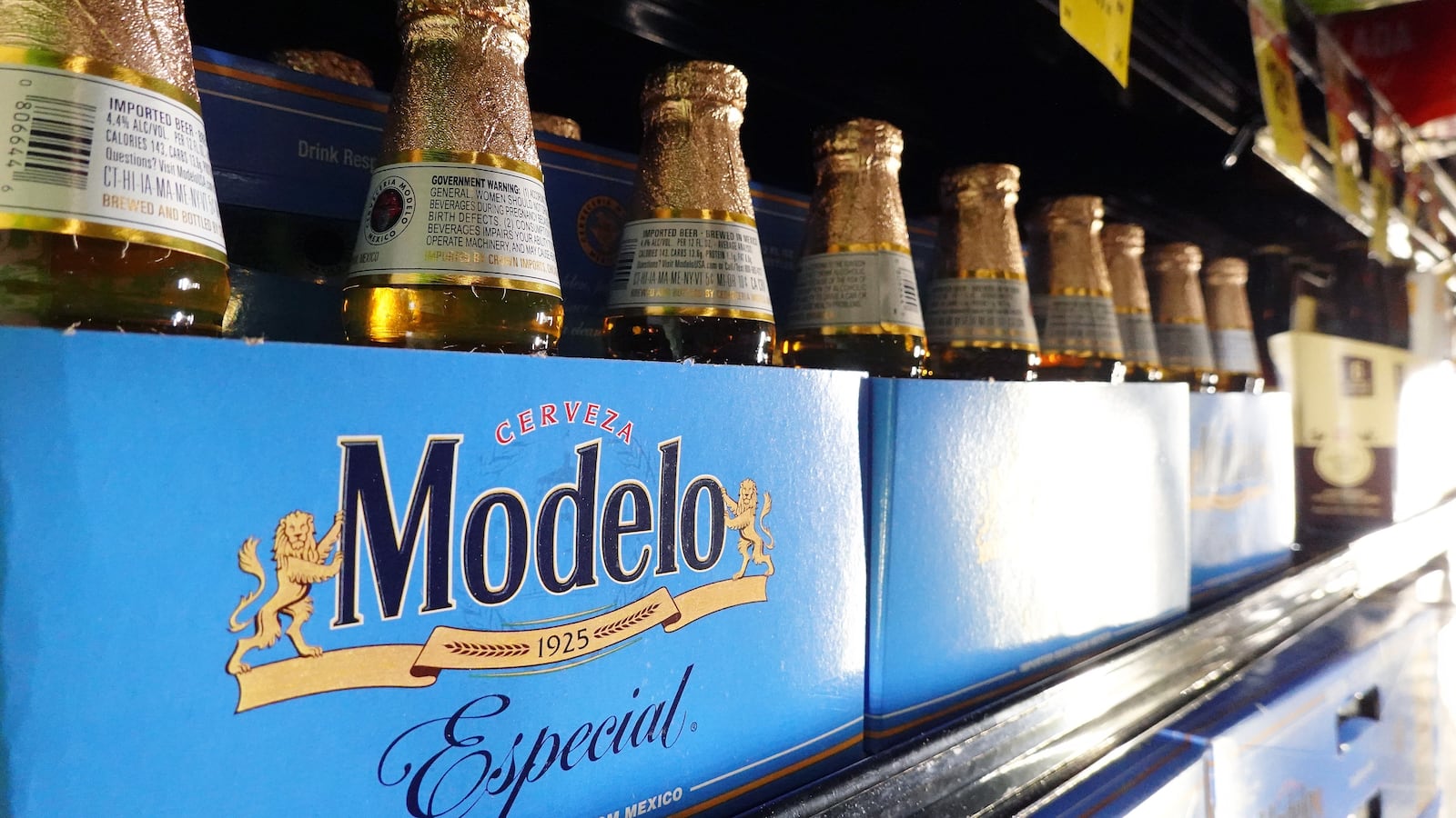 Modelos on a shelf.