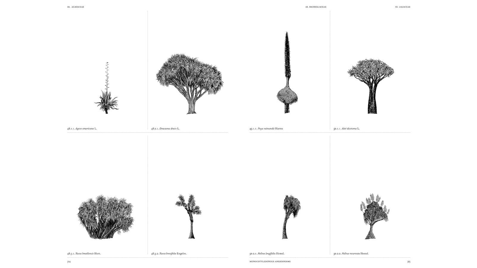 190604-Just-Booked-Architecture-of-Trees-tease_ouuvg8