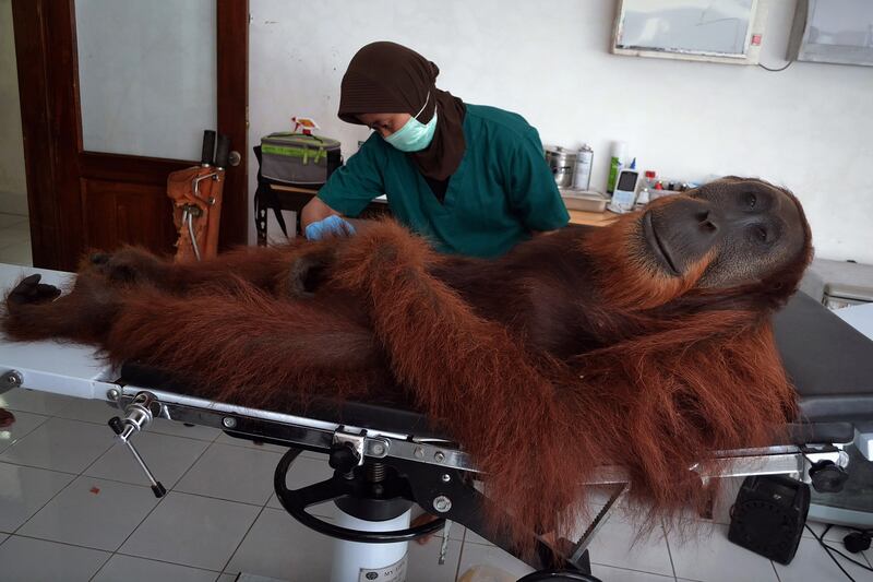 galleries/2014/04/19/week-in-pictures-april-19-2014/140418-week-photo16_zpmlpg