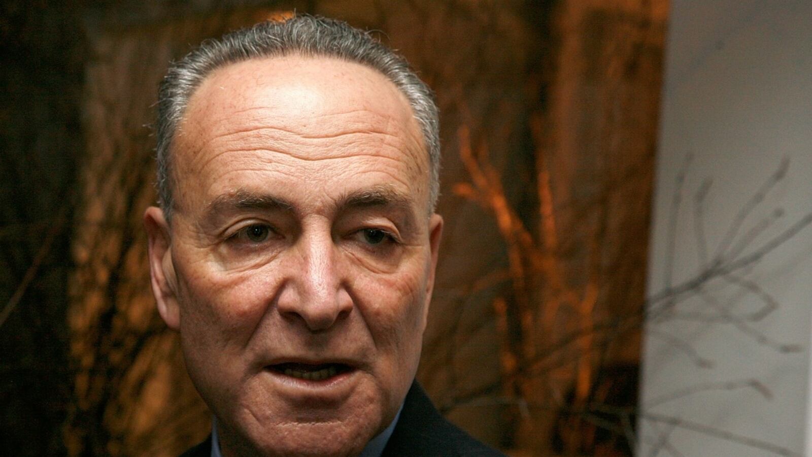 cheats/2013/01/15/chuck-schumer-backs-hagel/chuck-schumer-backs-hagel-cheat_shzeou