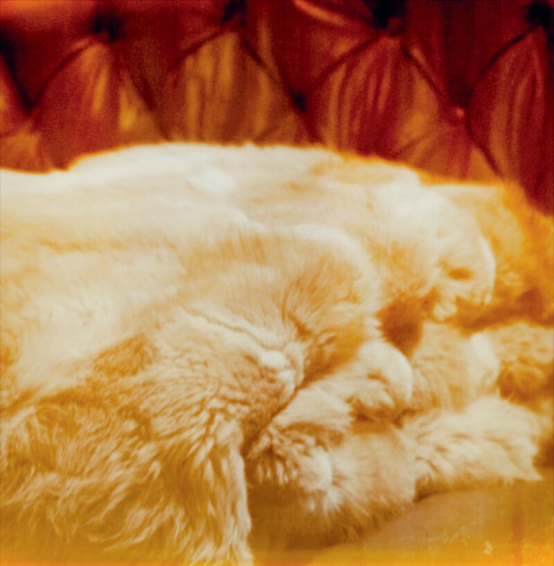 galleries/2013/04/23/alessandro-benetton-through-the-years-photos/130423-Alessandro-Benetton-12_lqj31g