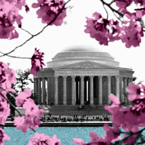 Jefferson Memorial