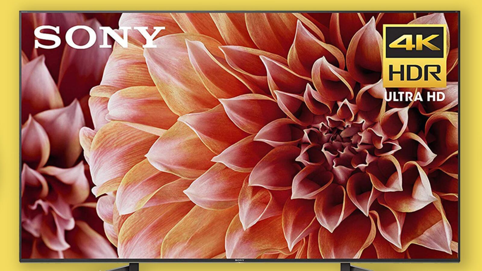 amazonlaborday_ym0l4t