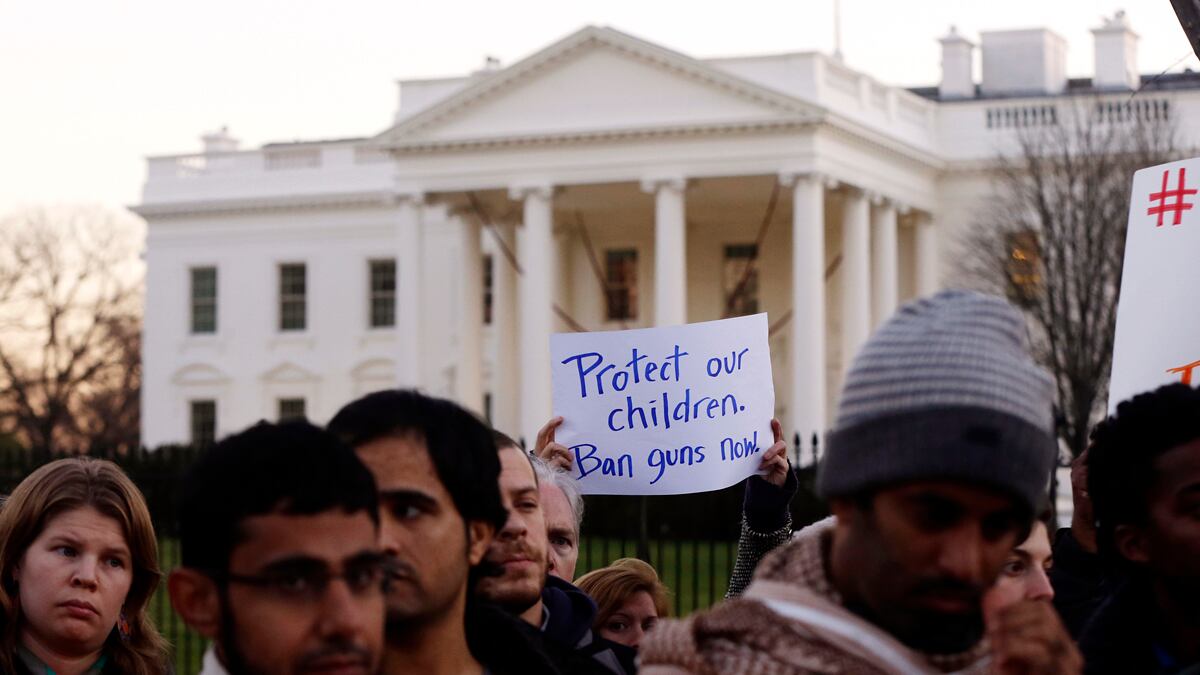 articles/2012/12/19/newtown-fuels-rise-of-accidental-activists-for-gun-control/gun-control-petitions-grove_matcvq