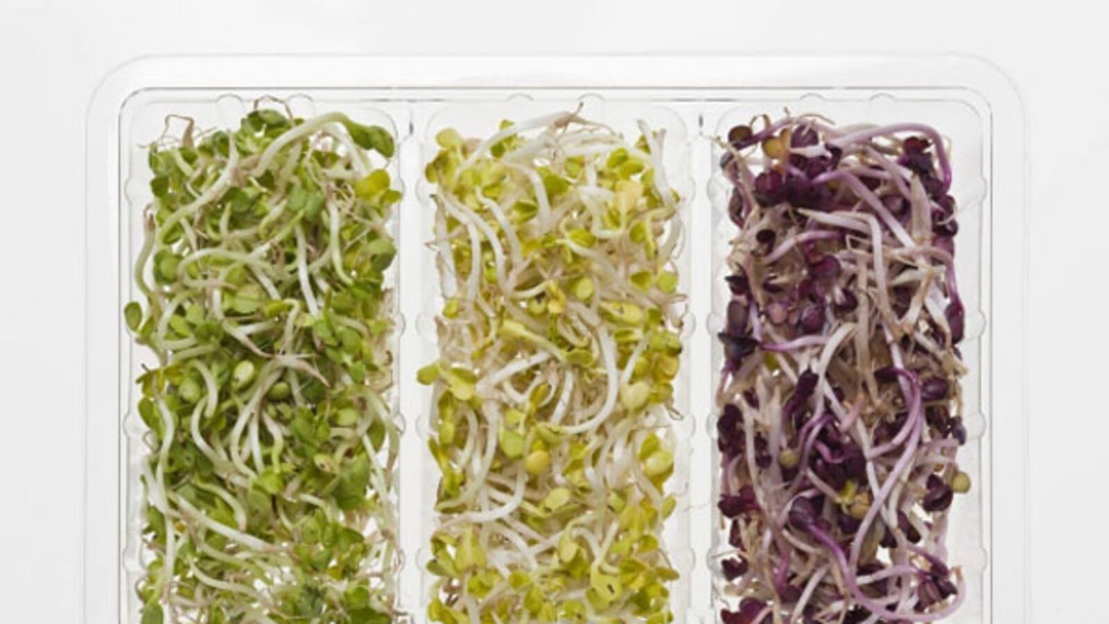 galleries/2011/12/30/most-effective-diets-for-2012-photos/most-effective-diets-2012-tease_bxpsf1